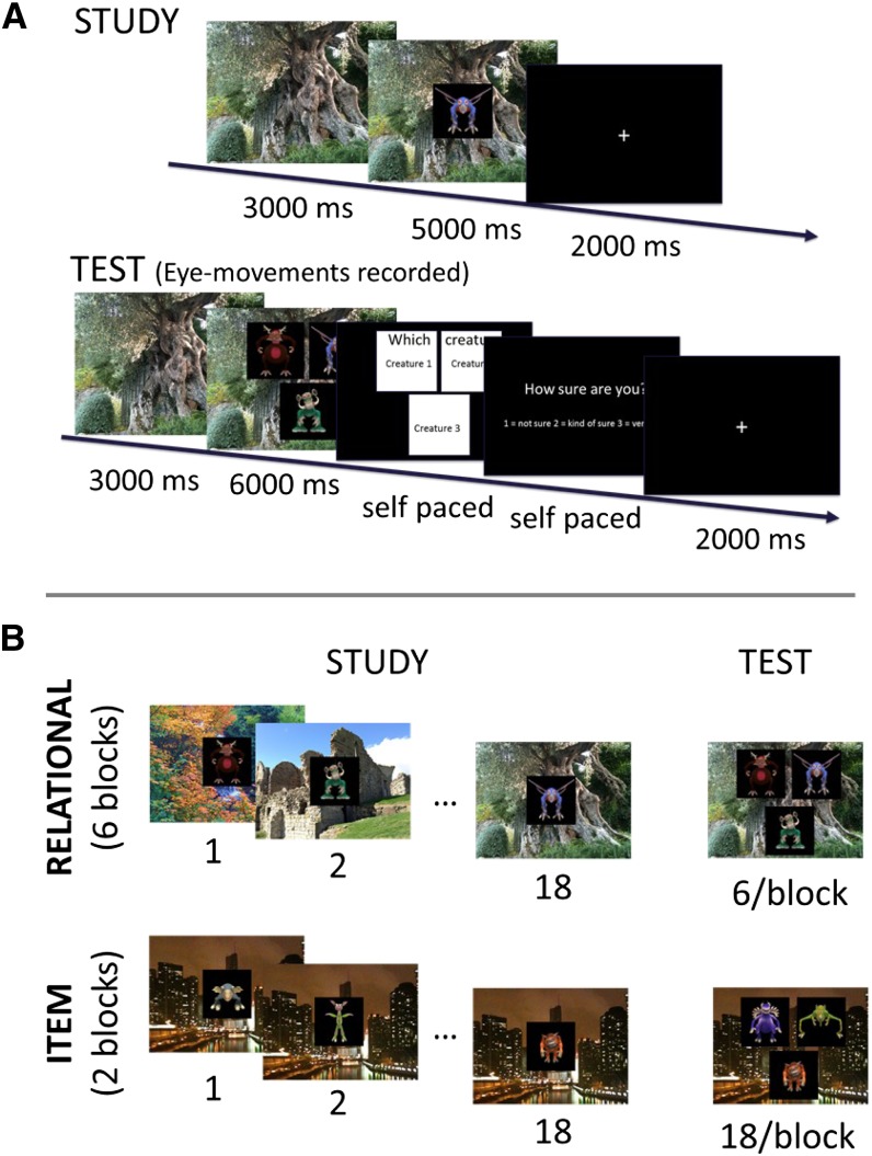 FIGURE 1.