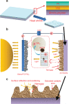 Fig. 11