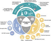 graphic file with name MCO2-6-e70246-g003.jpg
