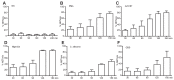 Figure 1—figure supplement 1.