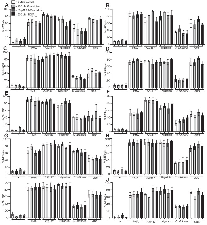 Figure 6—figure supplement 2.