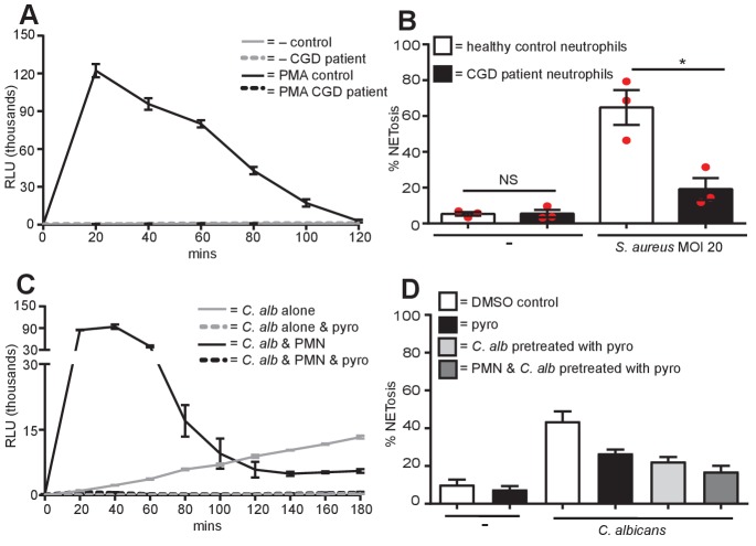 Figure 3—figure supplement 1.