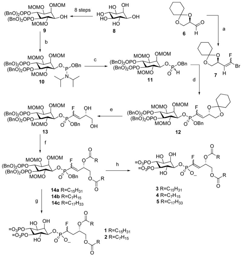 Scheme 2