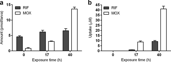 FIG 2