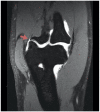 Figure 15.