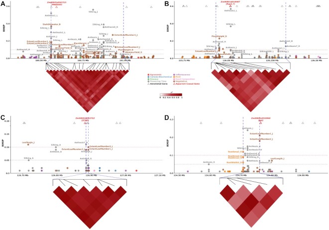 Figure 6: