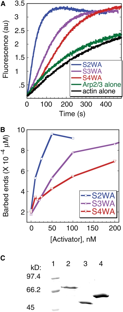 Figure 7.