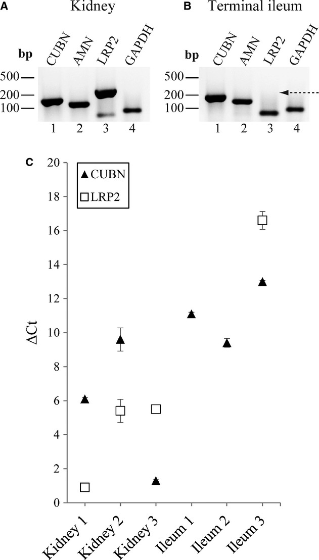 Figure 4.