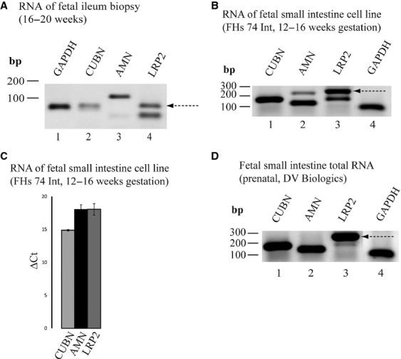 Figure 6.