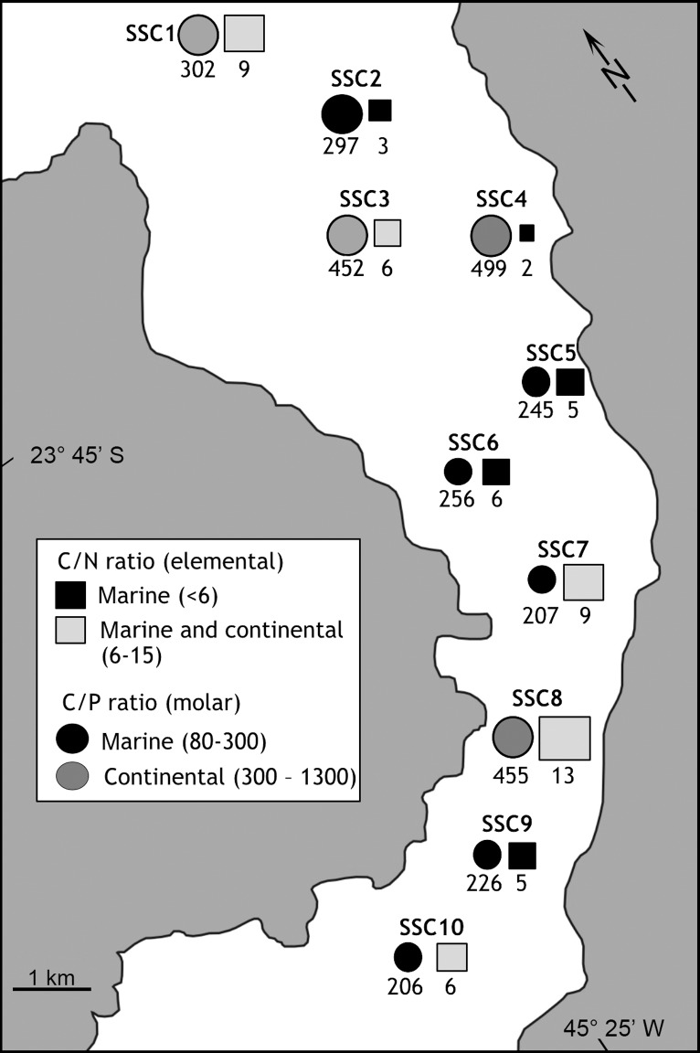 Fig 5