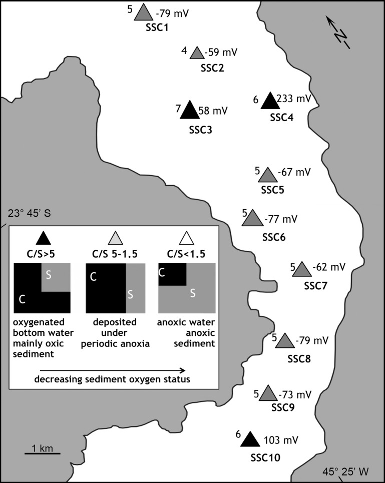 Fig 4