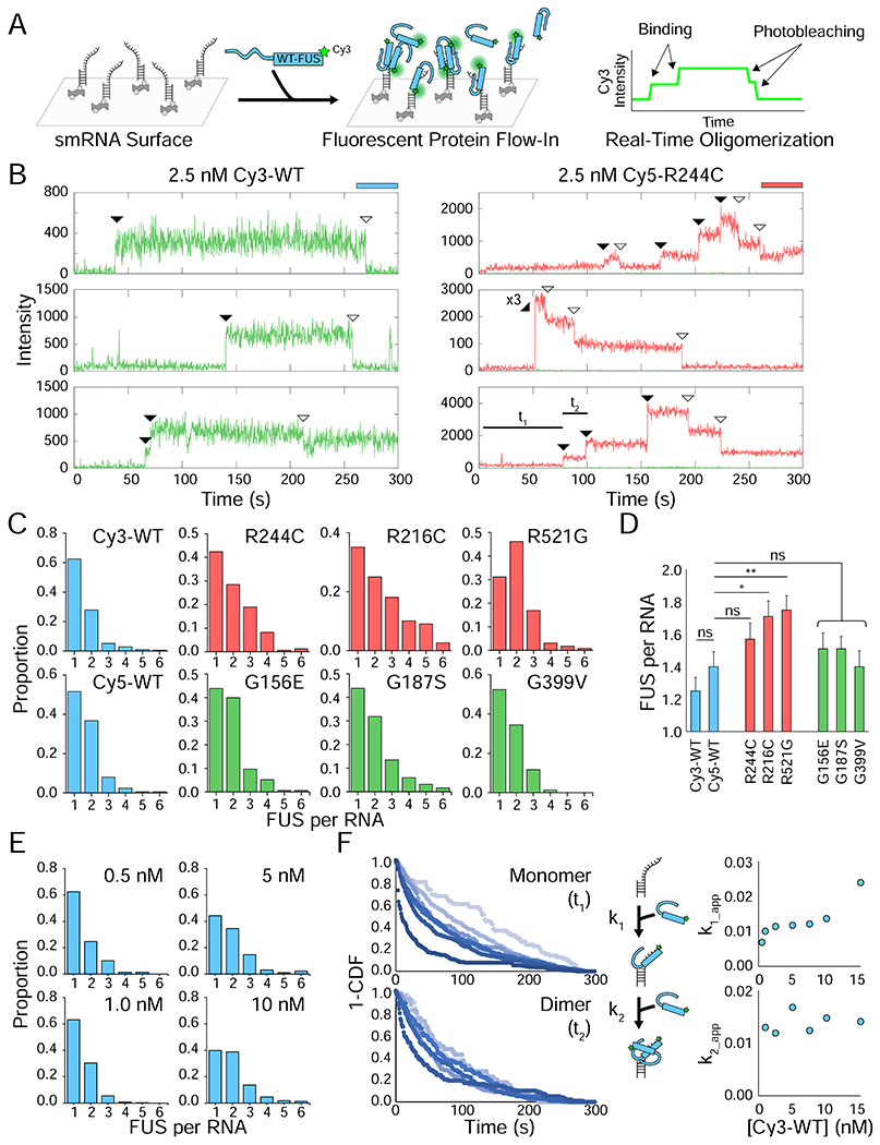 Figure 2: