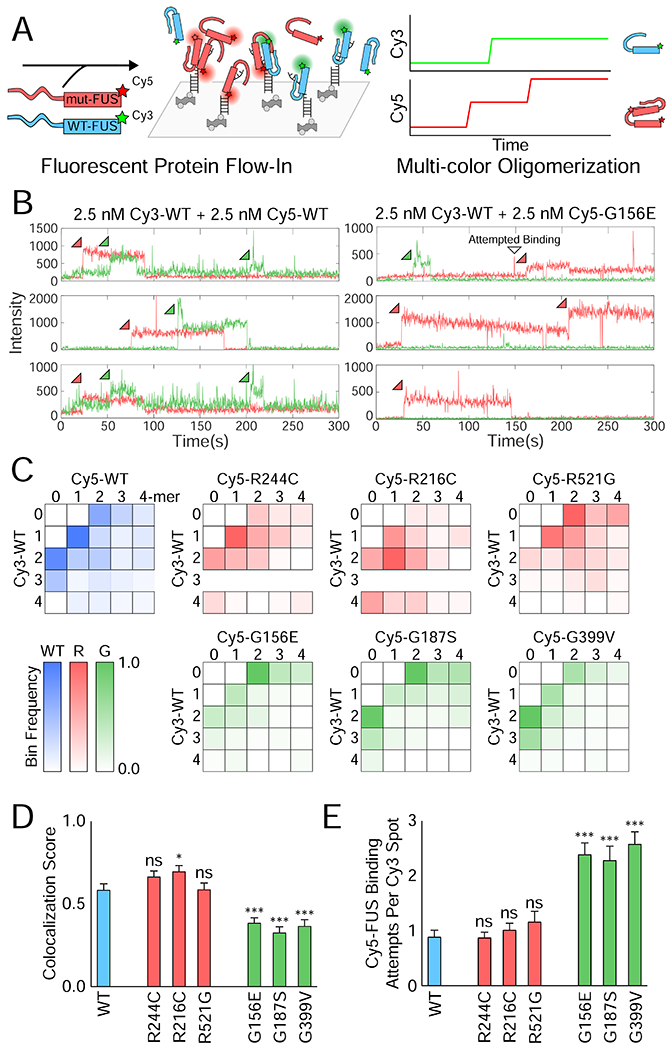 Figure 3: