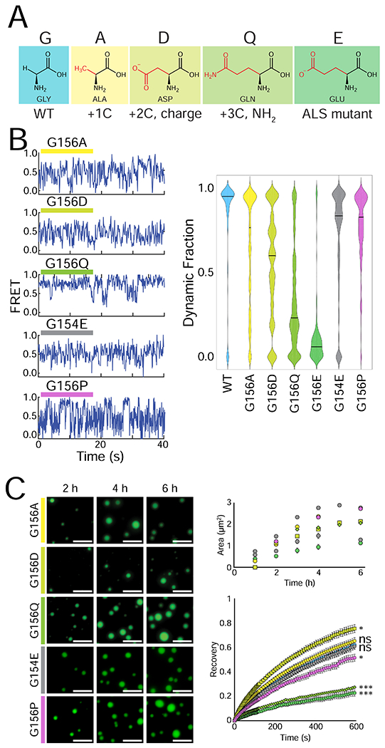 Figure 6: