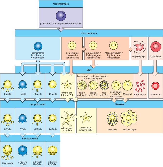 graphic file with name 978-3-662-56004-4_1_Fig3_HTML.jpg