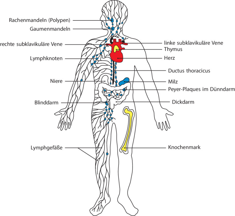 graphic file with name 978-3-662-56004-4_1_Fig18_HTML.jpg