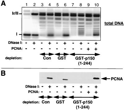 FIG. 8