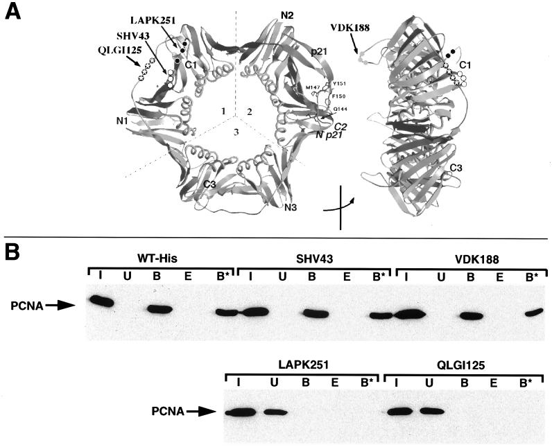 FIG. 6