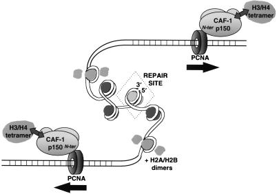 FIG. 9