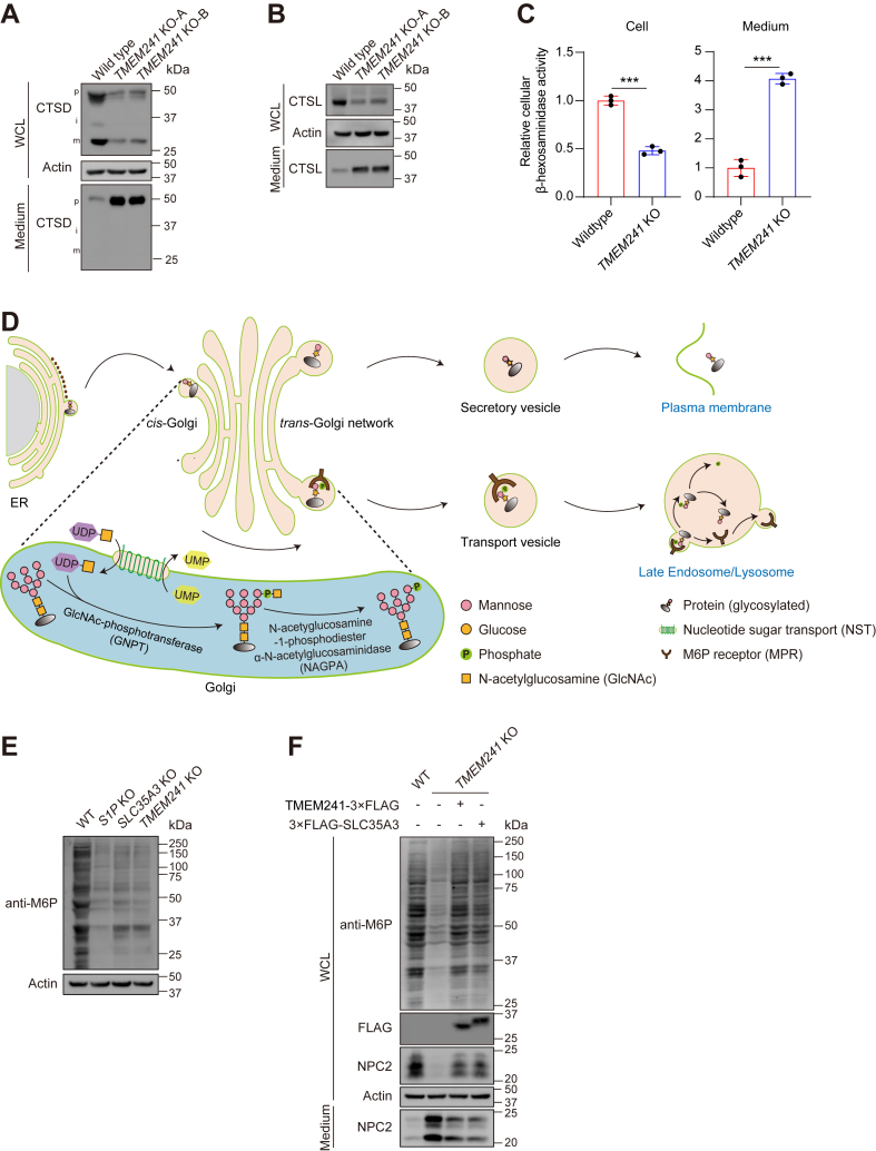 Fig. 4