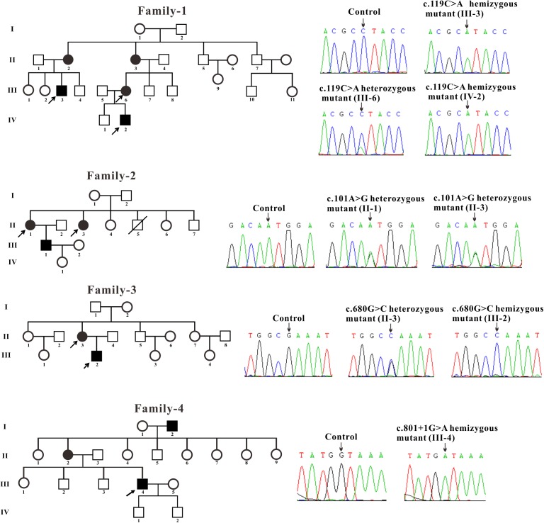 FIGURE 1