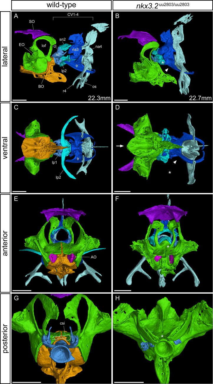 Fig 8