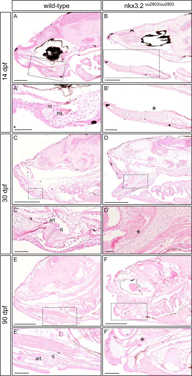 Fig 3