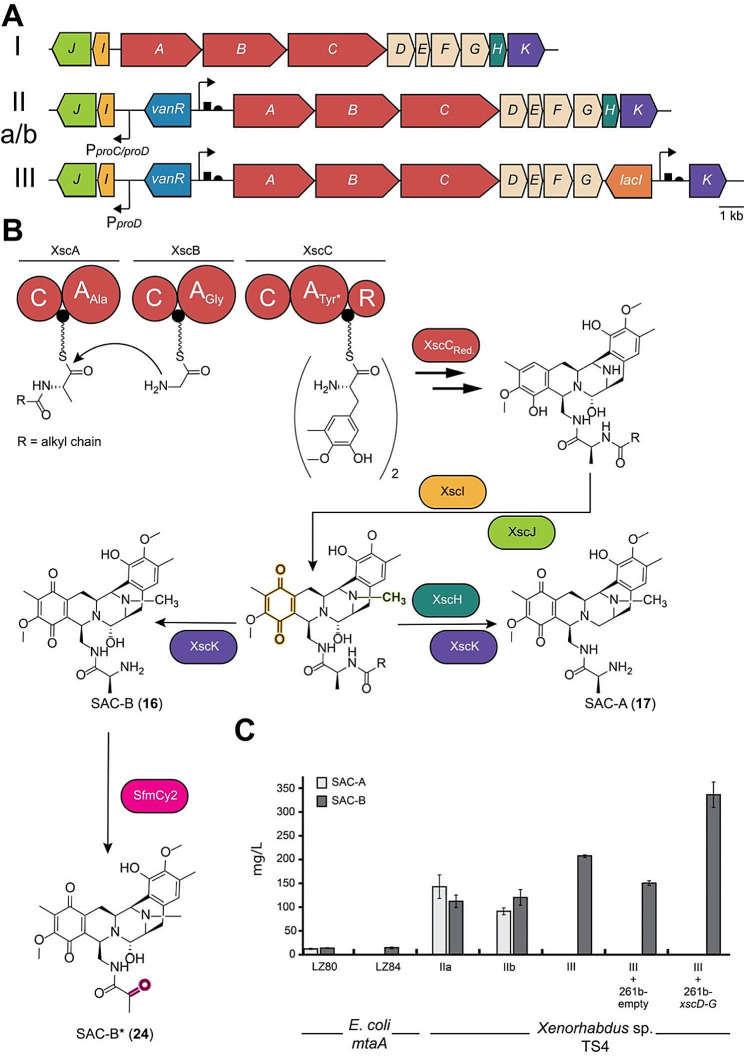 Fig. 2