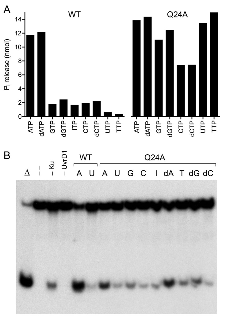 Fig. 5