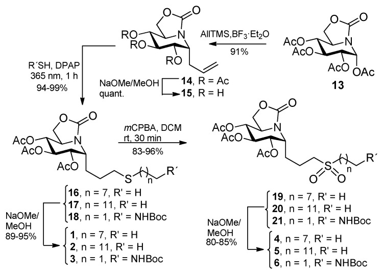 Scheme 1