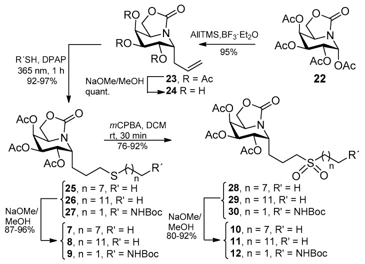 Scheme 2