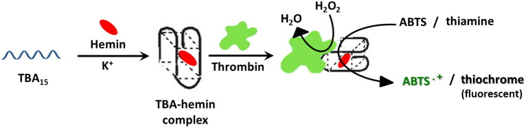 Fig. 7