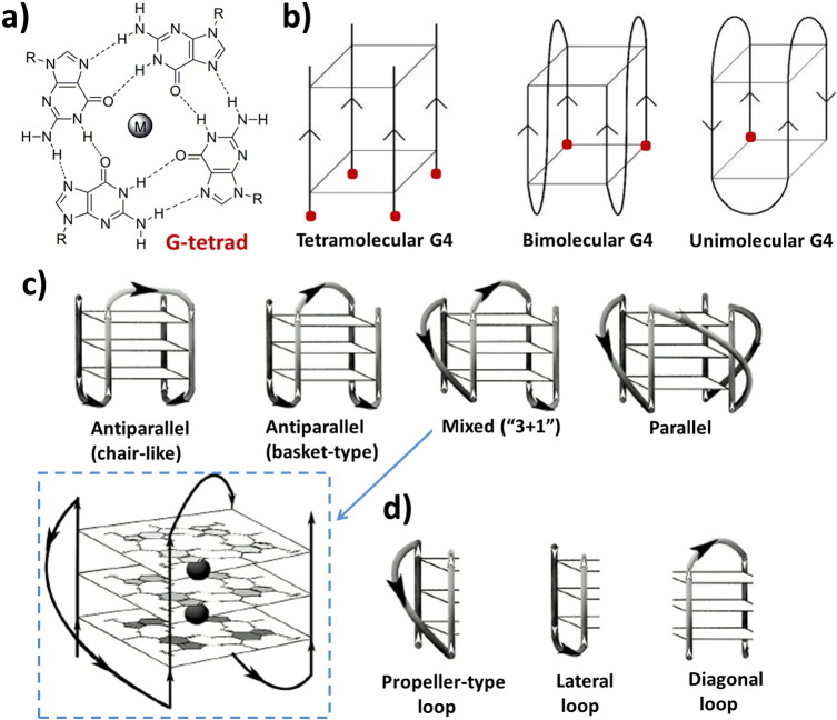 Fig. 3