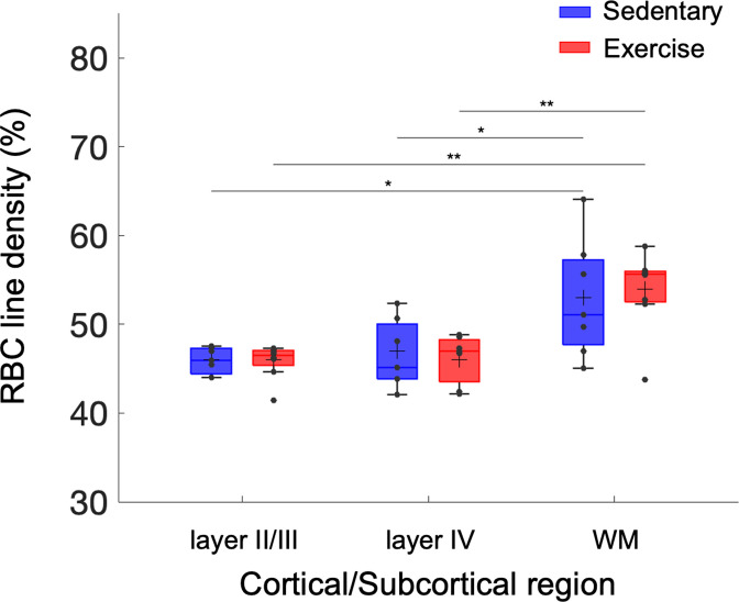 Figure 1—figure supplement 3.