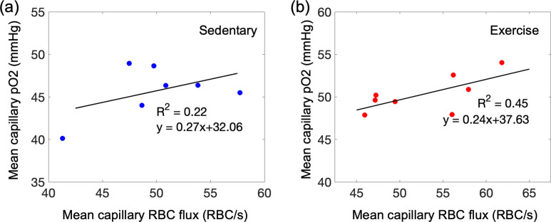 Figure 2—figure supplement 2.