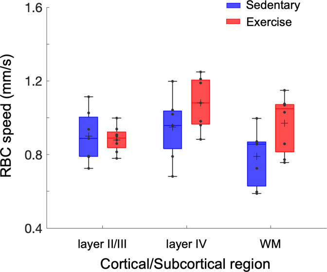 Figure 1—figure supplement 2.