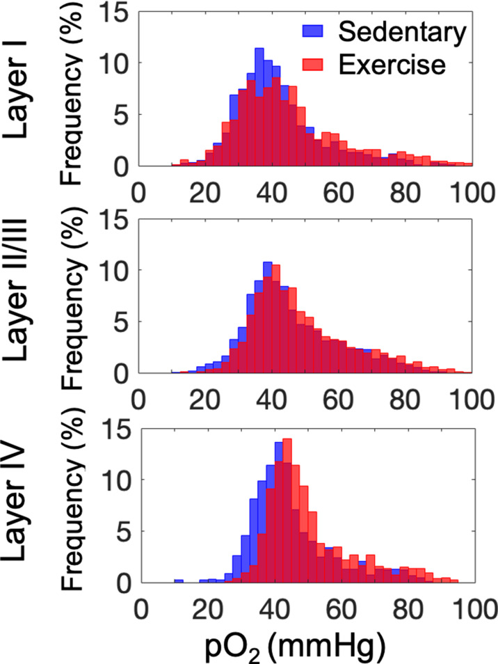 Figure 2—figure supplement 1.