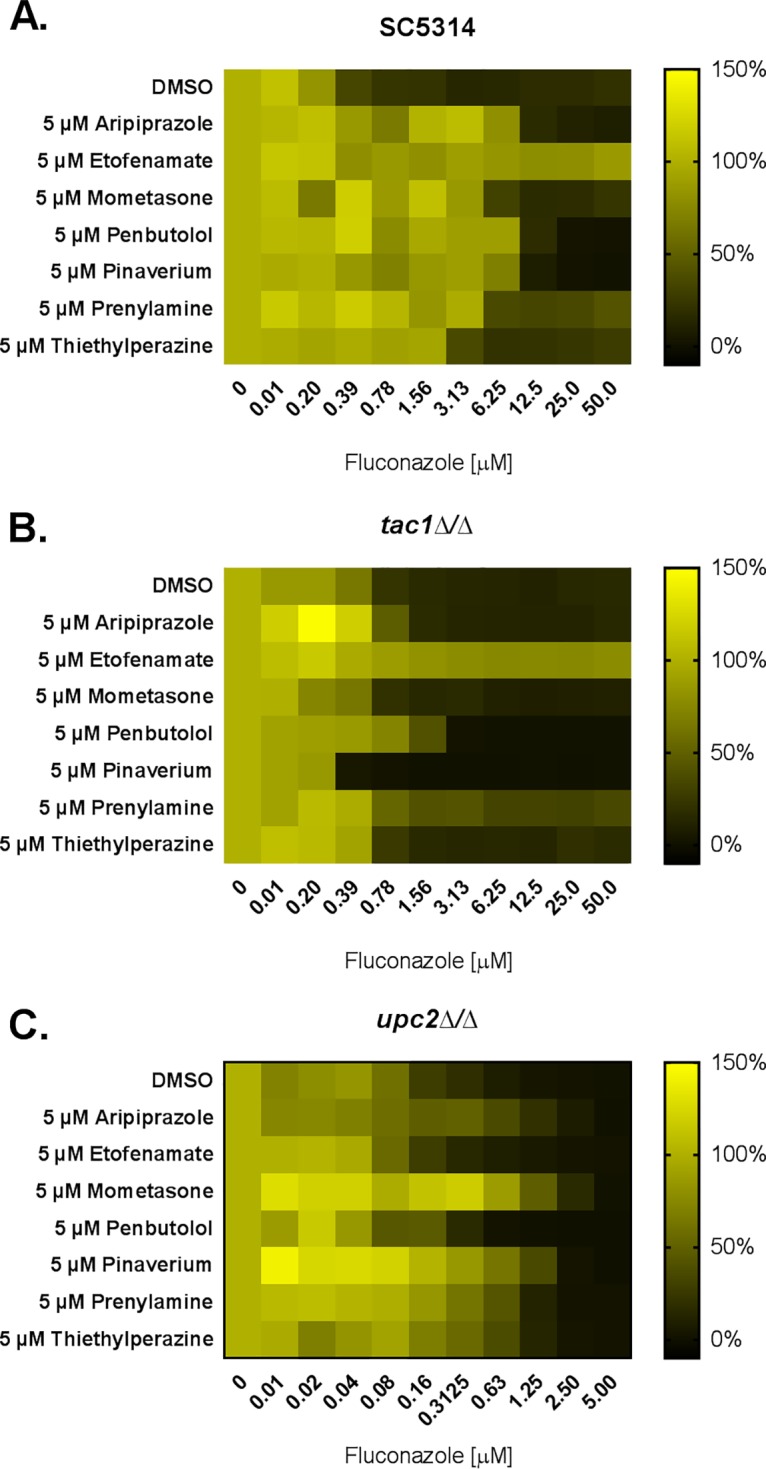 FIG 6