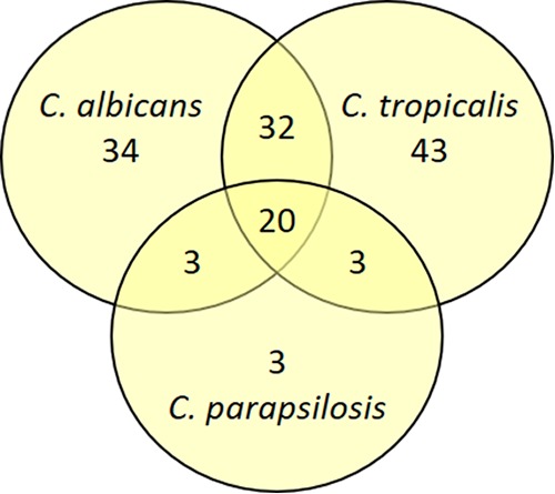 FIG 3