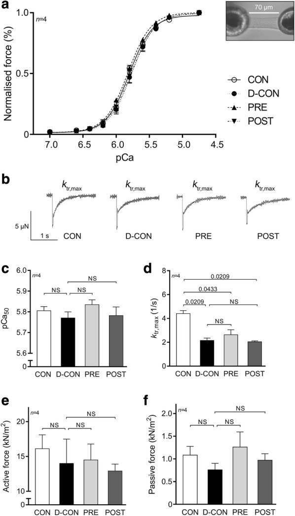 Fig. 6