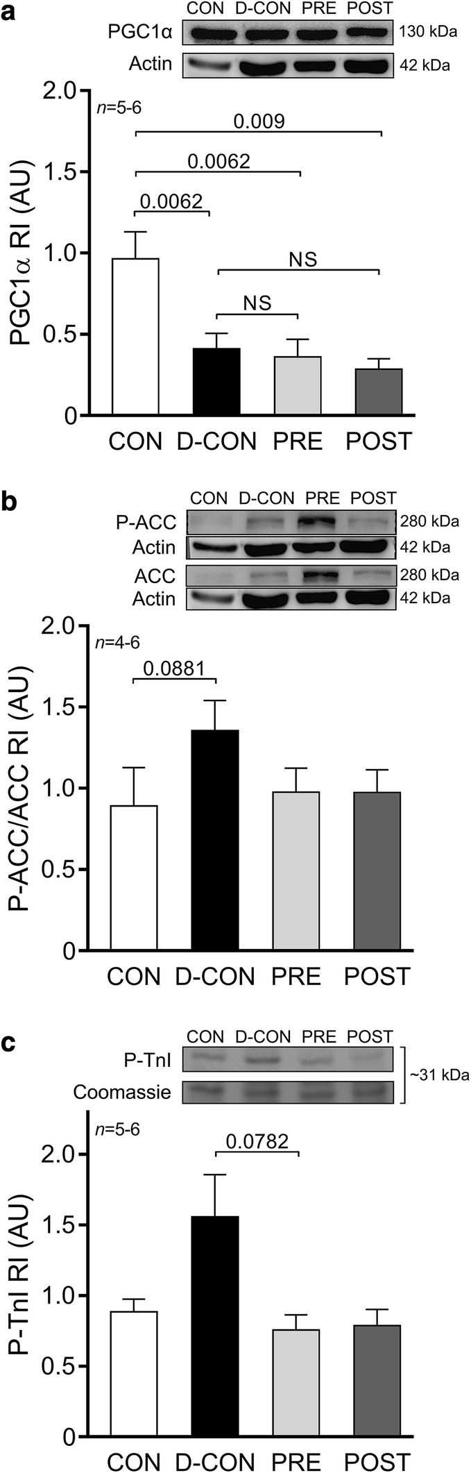 Fig. 8