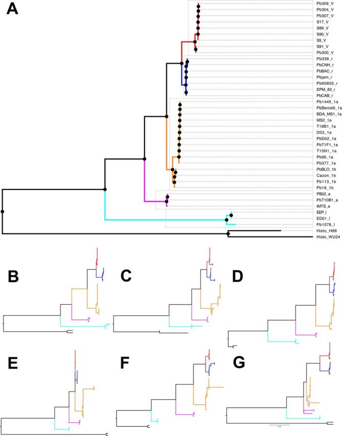 FIG 2