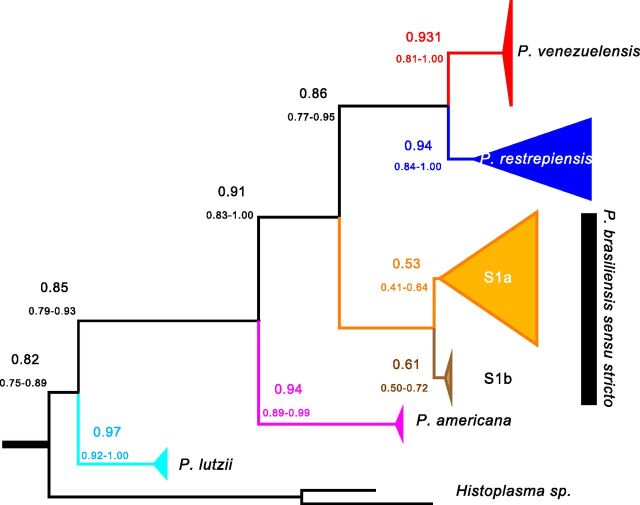 FIG 3