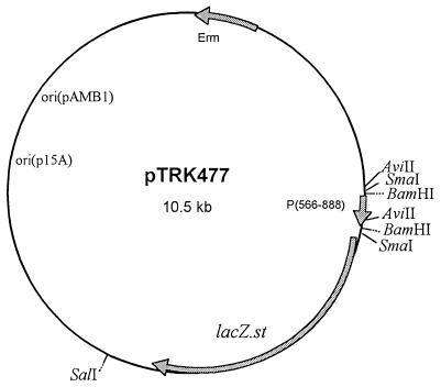 FIG. 1