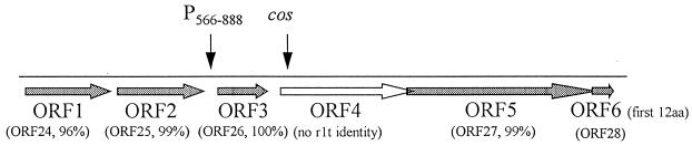 FIG. 6