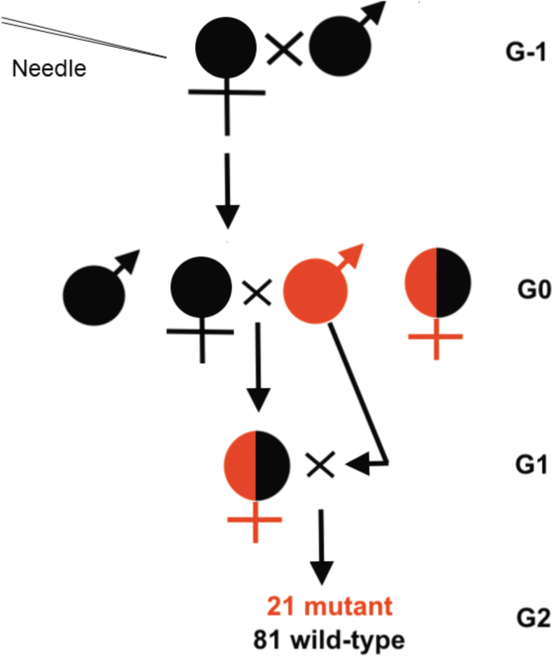 FIG. 4.