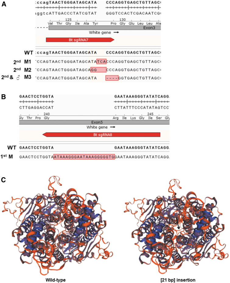 FIG. 3.