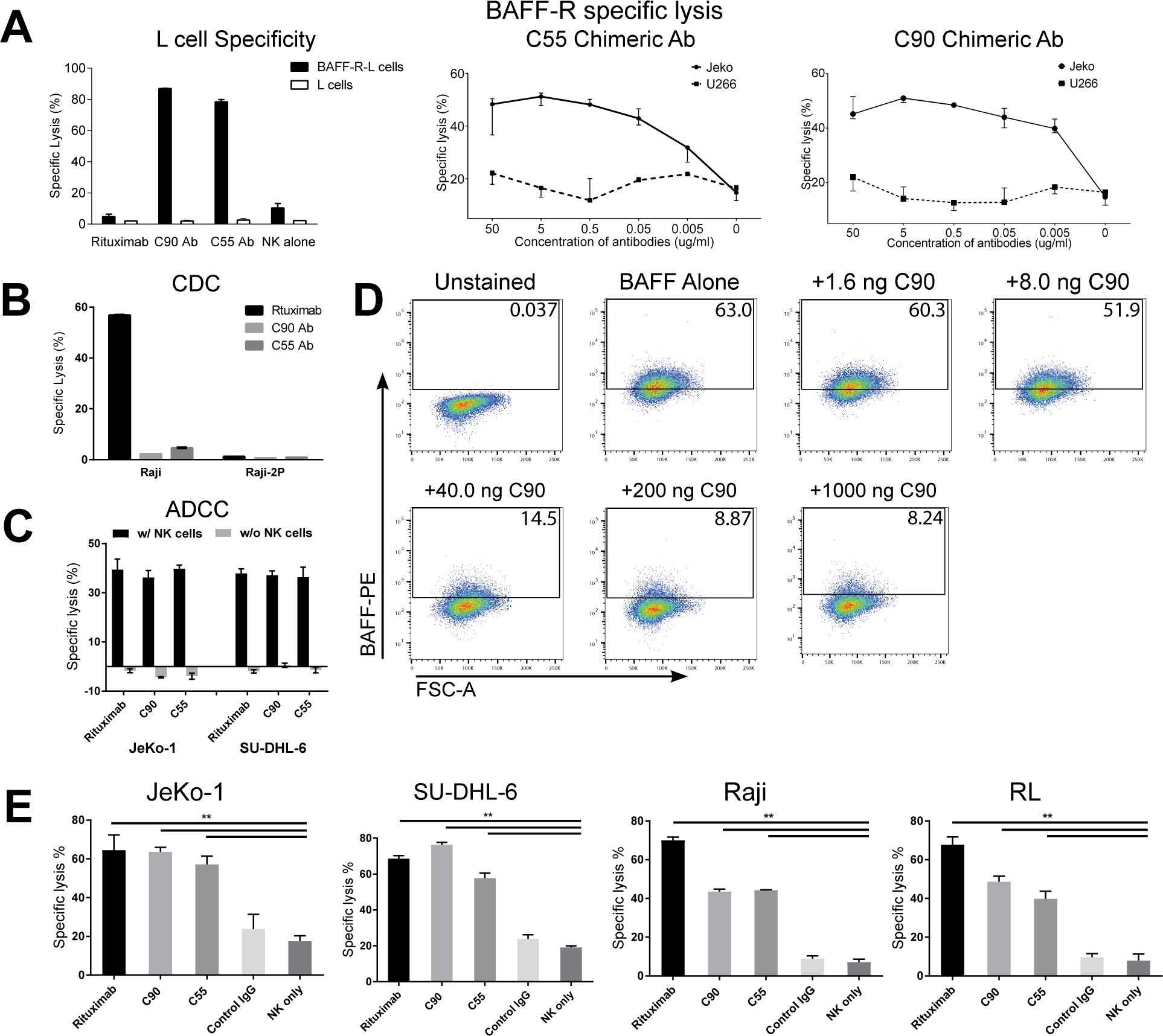 Novel BAFF-receptor antibody to natively folded recombinant protein ...