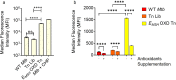 Figure 1—figure supplement 3.