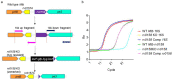 Figure 4—figure supplement 1.